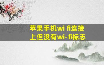 苹果手机wi fi连接上但没有wi-fi标志